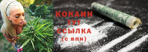 крисы Коряжма