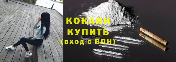 стаф Киренск