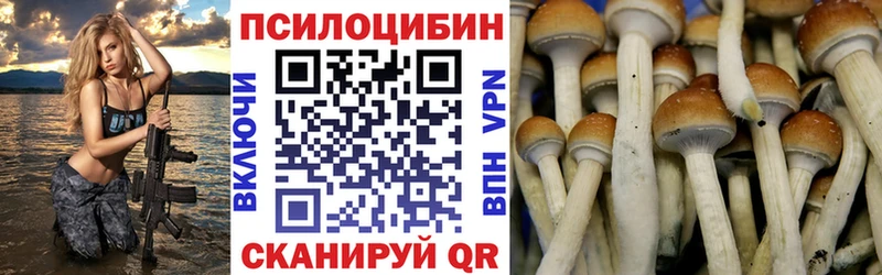 Псилоцибиновые грибы мицелий где найти Конаково